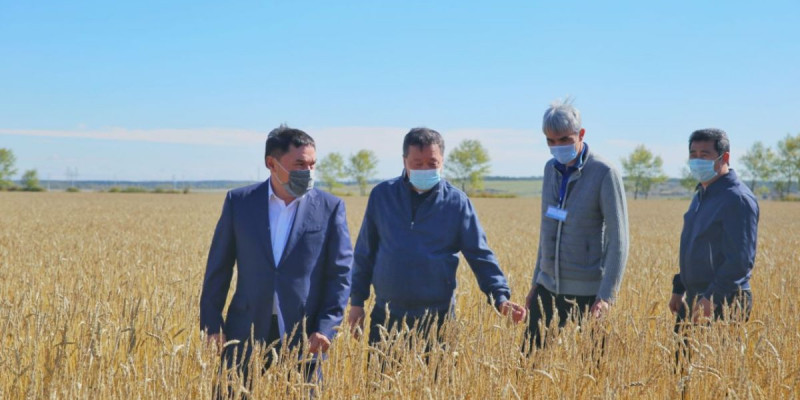 Пандемия шаруаларды ширатпаса, ісіне бөгет болған жоқ
