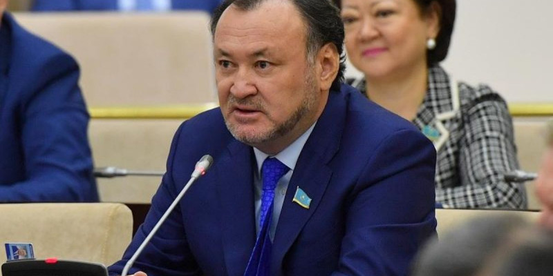 Онлайн оқытудың машақаты: Сенатор Премьер-министрге депутаттық сауал жолдады