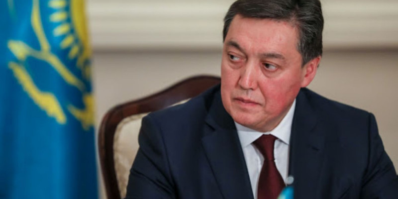 Үкімет басшысы мониторинг топтарының жұмысын сынға алды