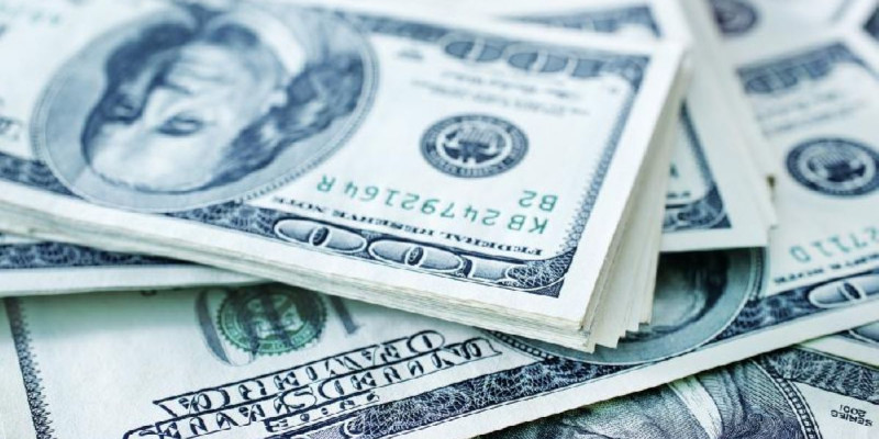 Жалған 800 мың АҚШ долларын сатқан алматылық ұсталды