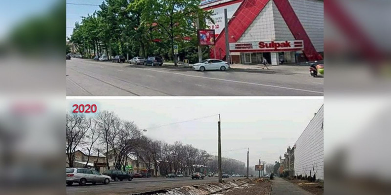 Алматыда ағаштардың оталуы: Президент кінәлілерді жазалауды тапсырды