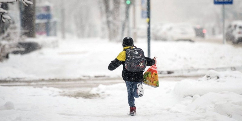 30 градус аяз: ШҚО мектептерінде сабақ тоқтатылды