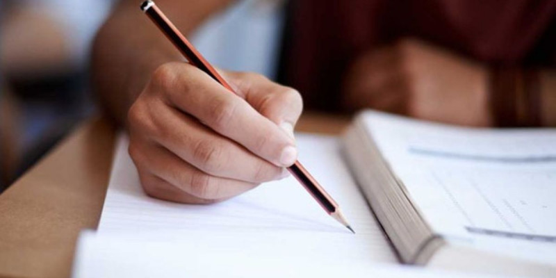 Ата-ана қамқорлығынсыз қалған балаларға кәсіпкерлік негіздері үйретіледі