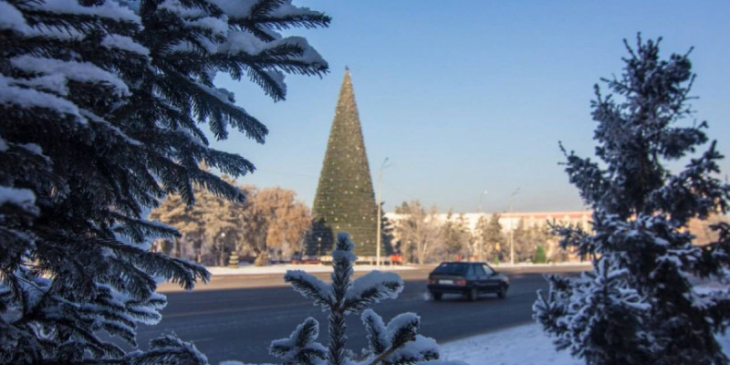 Павлодарда жаңажылдық шыршаға 16 миллион теңге жұмсалмақ