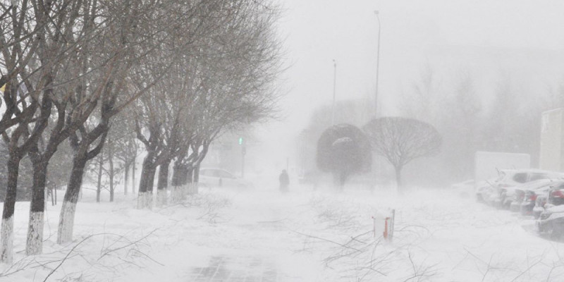 Жел, тұман, боран: Мамандар қай өңірлерде ауа райы бұзылатынын айтты