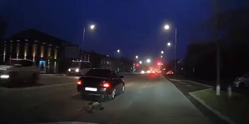 Атырауда көлігімен ит сүйреген жүргізуші ұсталды