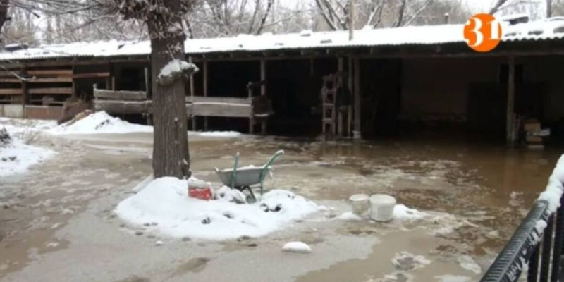 Сел сергелдеңі: Жамбыл облысында бүтін бір ауылды су басып қалды
