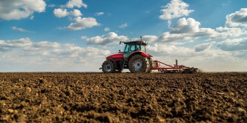 Әкімнің баласы ауылдың іргесін неге қопарды?