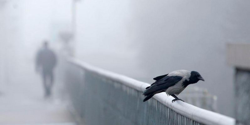 Тұман, жел, көктайғақ: еліміздің басым бөлігінде қар аралас жаңбыр жауады