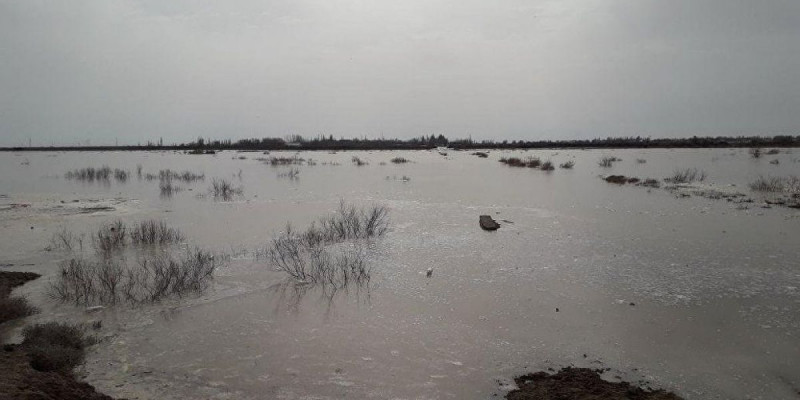 Байқоңырда мәйіті табылған баланың неден көз жұмғаны белгілі болды