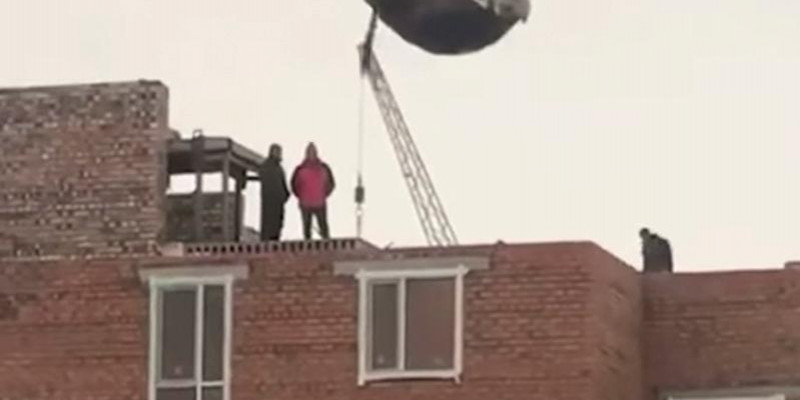 Елордада салынып жатқан үйдің төбесінде құрбандық шалмақ болған