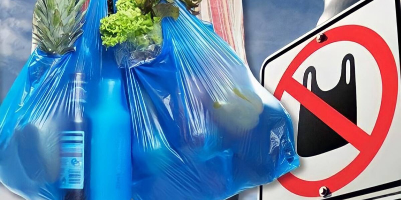 Елімізде полиэтилен пакеттерді қолдануға тыйым салынбақ