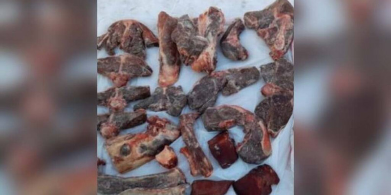 Туысының үйінен соғым етін ұрлаған жамбылдық бас бостандығынан айрылуы мүмкін