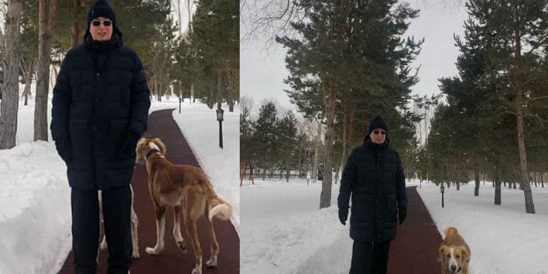 Желіде Тоқаевтың тазымен серуендеп жүрген суреттері жарияланды