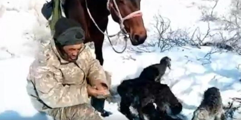 Жамбылдық шопан 600 бас қоймен боранда адасып кеткен