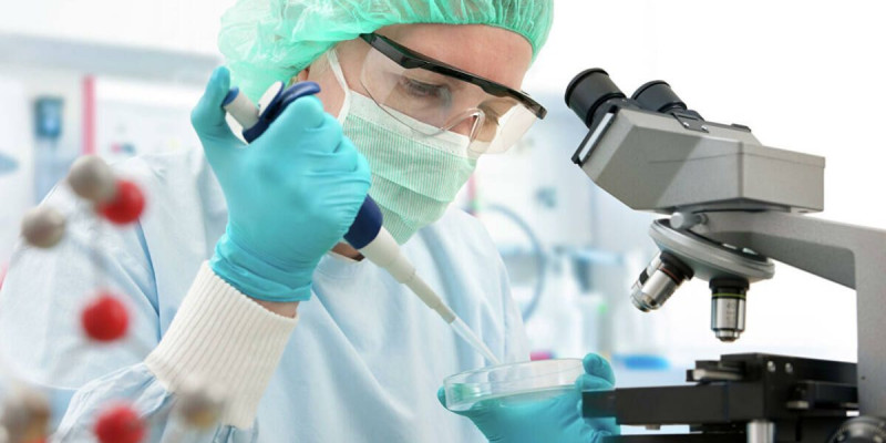 Саңырауқұлақ құрамынан коронавирусты өлтіретін заттар анықталды