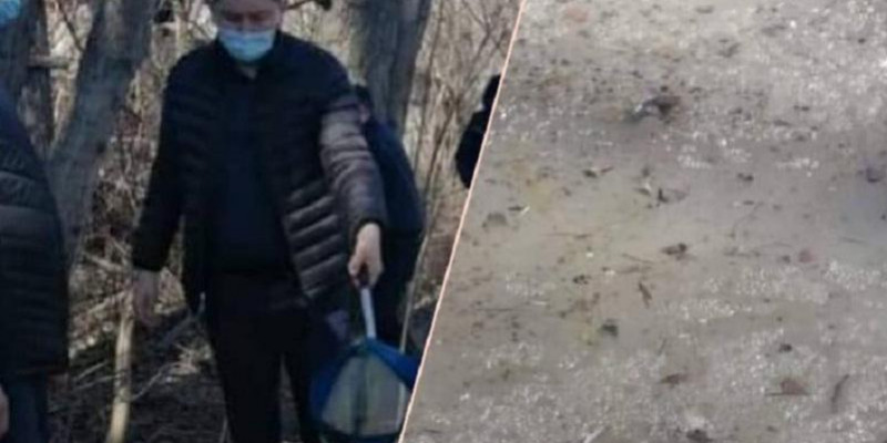 Ертіс өзенінде балықтардың неден қырылғаны белгілі болды