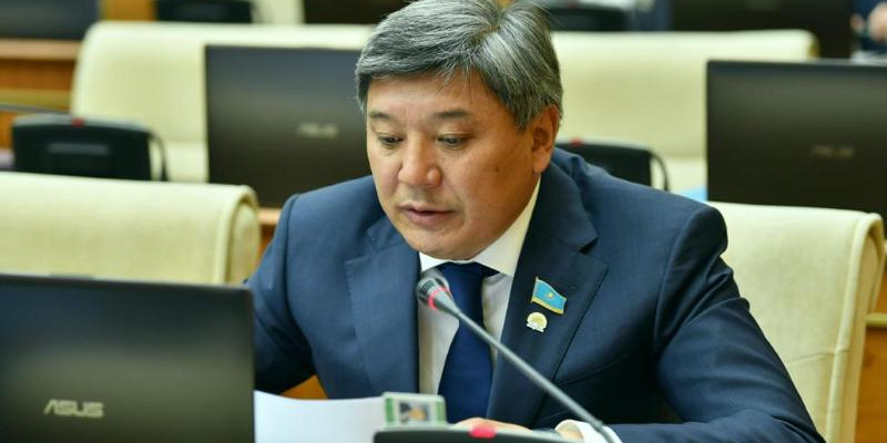 Депутат петроглифтерді жедел қолға алу қажет екенін айтты
