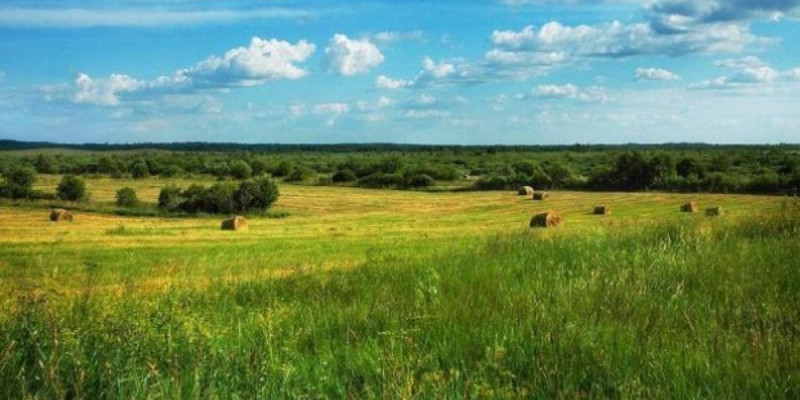 Министр шетелдіктерге берілген жердің көлемін жариялады