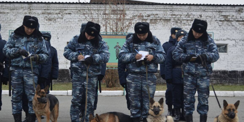 Жатақханадан қашып кеткен студент қыздар табылды