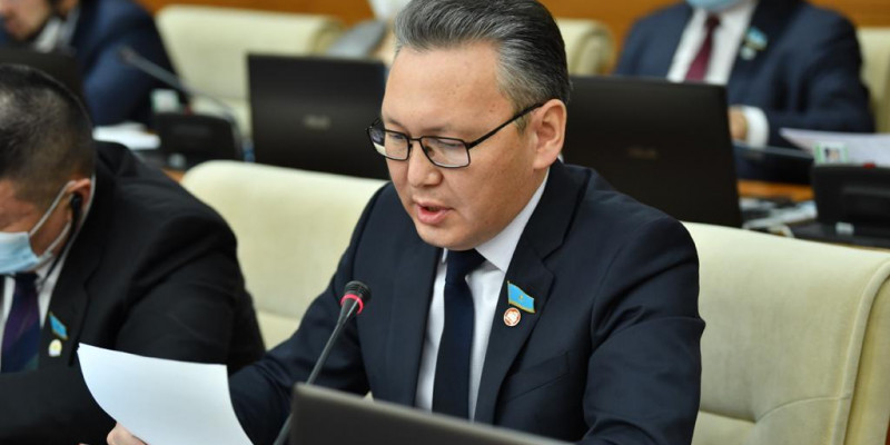 Депутат еңбек құқығы жөніндегі институт құруды ұсынды