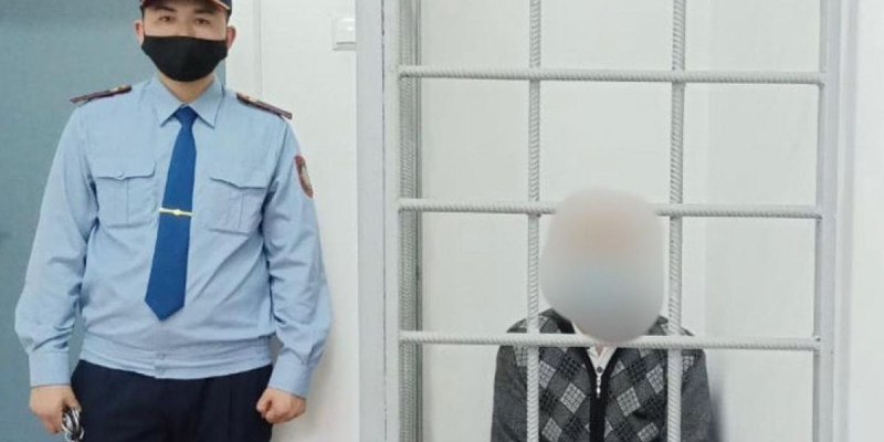 Ерегіскен жаяу жүргіншіні әдейі басып өлтіріп кеткен...