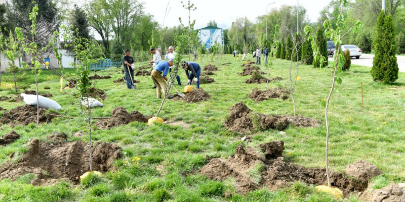 Университет аумағында "Елбасы саябағы" ашылды