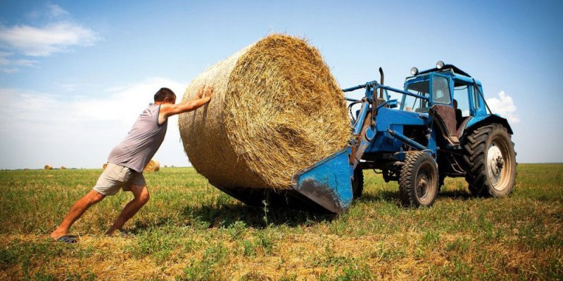 Елімізде шөп шабу науқанына қосымша жанармай бөлінеді