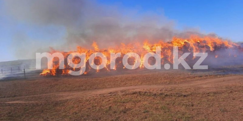 Батыс Қазақстан облысында 400 тонна шөп өртеніп кетті