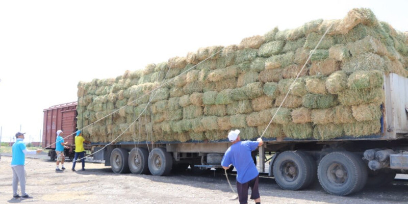 «Nur Otan» партиясы Маңғыстау облысына гуманитарлық көмек жіберді