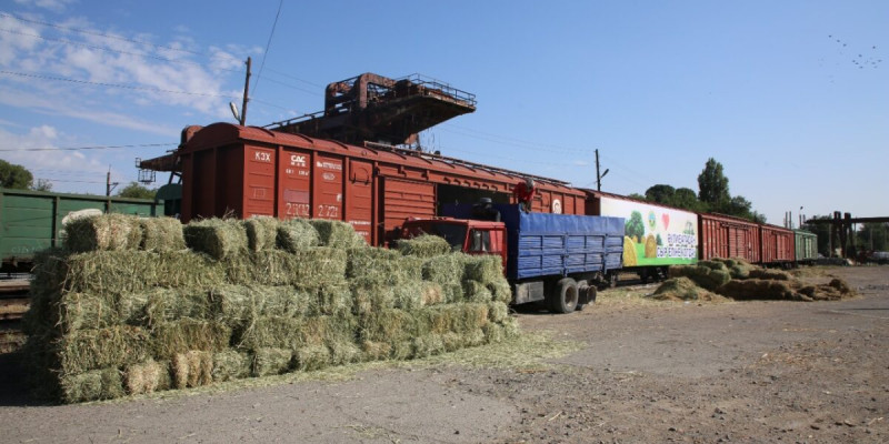 Жамбыл облысы Қызылорда облысына 33 тонна шөп жөнелтті