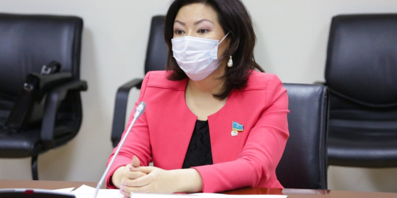 «Nur Otan» партиясының Құқықтық кеңесінің төрағасы тағайындалды