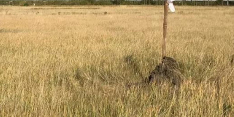 Ақмола облысының әкімдігі бір жер учаскесін екі рет сатқан