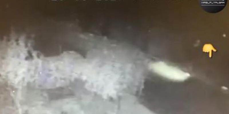 18 жастағы жігітті қағып өлтірді: көлік жүргізушісі қашып кеткен