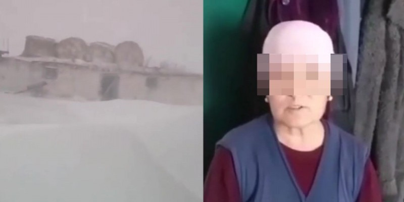 Ауласындағы қарды видеоға түсірген тұрғынға кешірім сұратқан әкім жазаланады