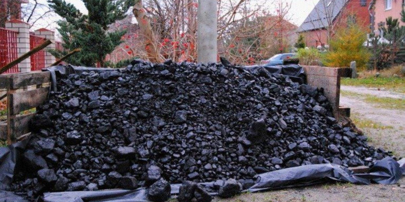 Ресейде вакцина алғандар арасында 3 тонна көмір ойнатылады