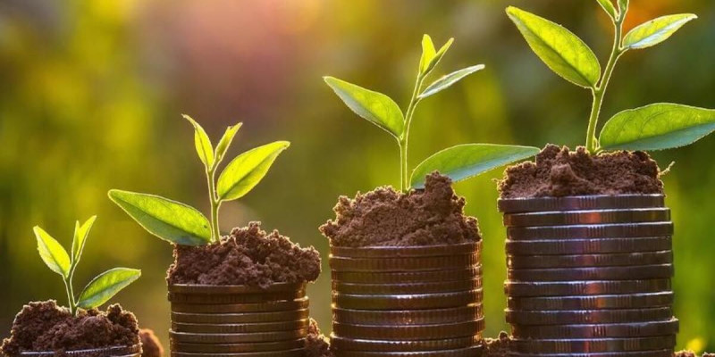 400 млн теңгенің субсидиясын жымқырған пысықай