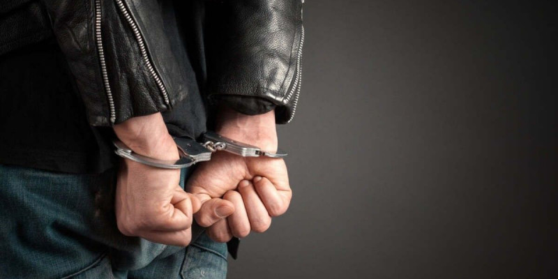 115 жылқы ұрлаған павлодарлық Мәскеуде ұсталды