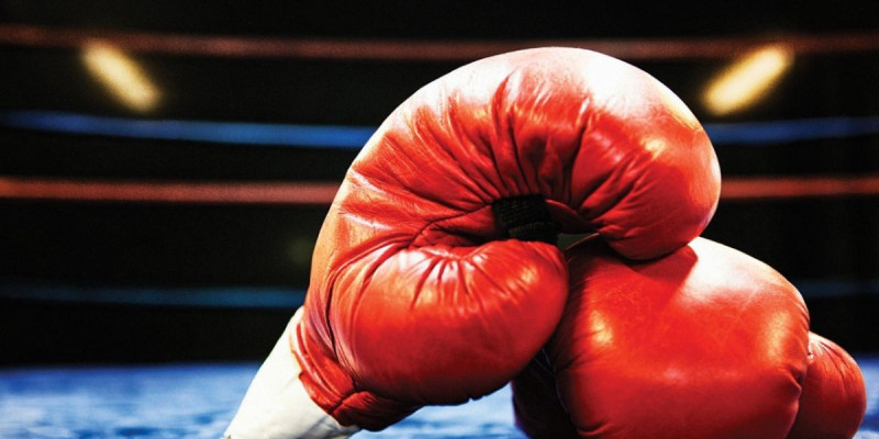 Бокс 2028 жылғы Олимпиада бағдарламасына енген жоқ