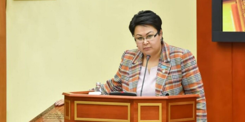 Елбасының «Тәуелсіздік тағылымы» мақаласы тәуелсіздік ұрпақтарына ерекше әсер етті