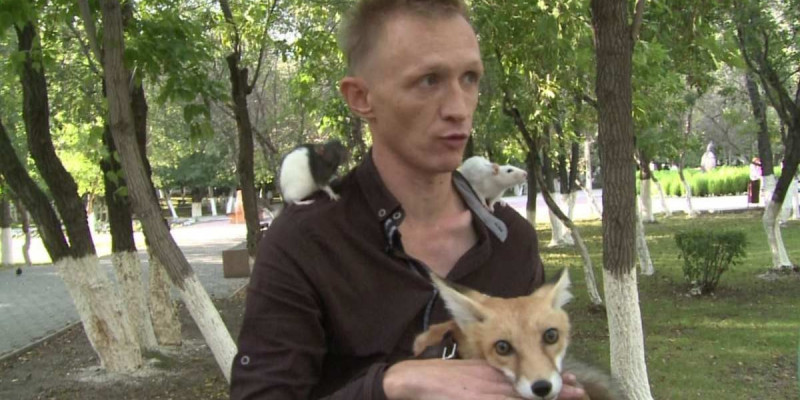Қарағандылық азамат көп қабатты үйде түлкі асырап жүр