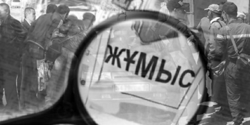«Елімізде 2 миллион адам жұмыссыз» – депутат (ВИДЕО)
