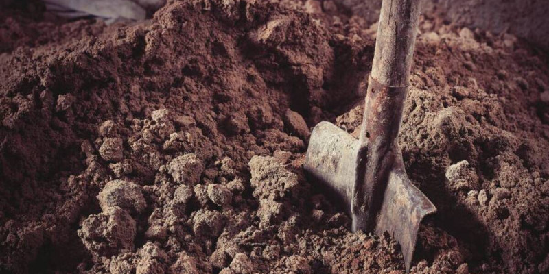 «Ешқашан аштырмаймын»: марқұмның әкесі мүрдеге эксгумация жасауға қарсы
