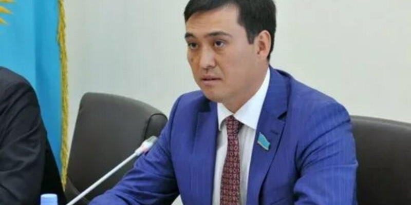 «Nur Otan» партиясының ресурстары Президенттің тұрақтылық тұрғысындағы тапсырмаларын орындауға жұмылдырылды – депутат