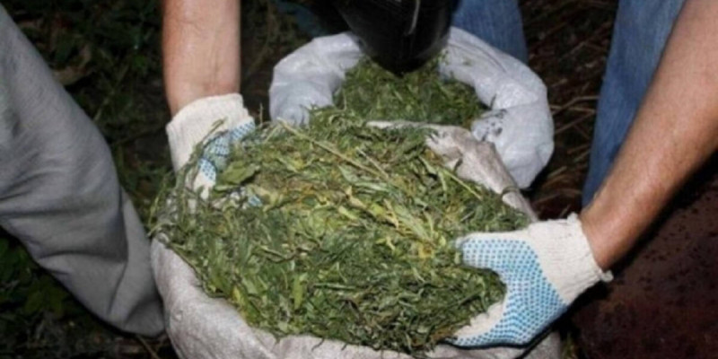 Жамбылда үйінде 60 келіге жуық есірткі сақтаған ер адам ұсталды (ВИДЕО)