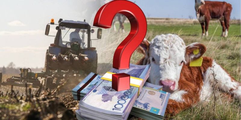 Субсидияның сұрауы кімнен?