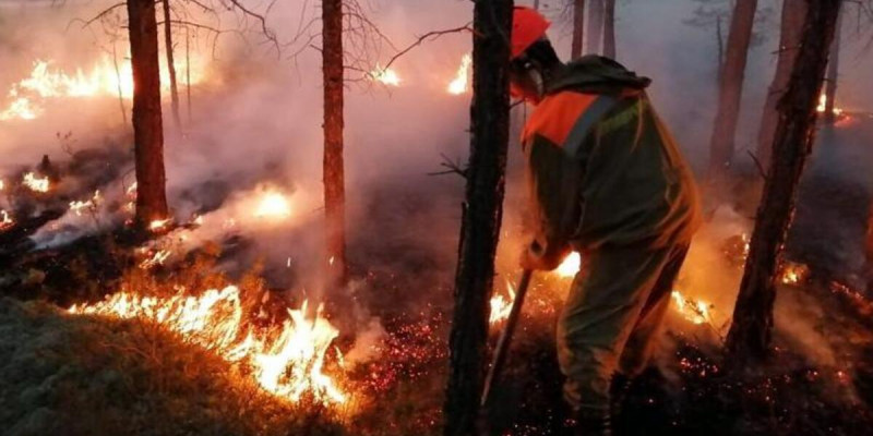 Ресейде алапат өрт шығып, 500 үй жанып кетті