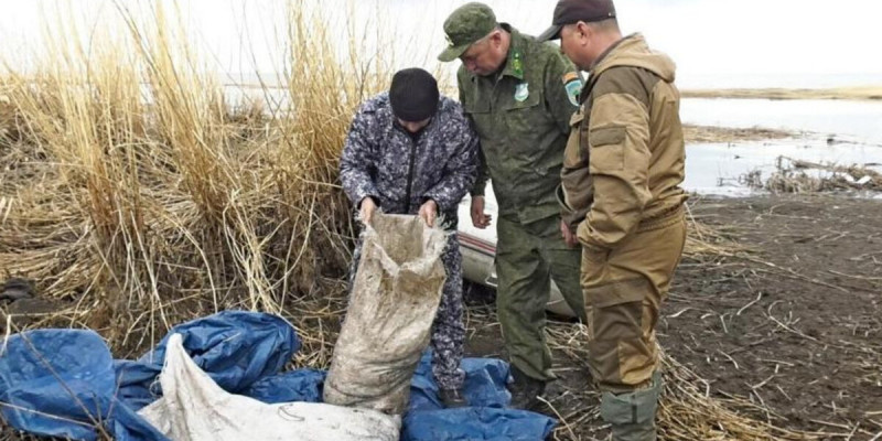 ШҚО-да сәуірден бері заңсыз балық аулаудың 195 фактісі анықталды