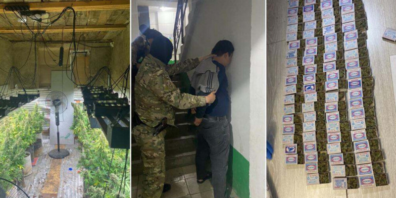 Ақмола облысында жасырын есірткі зертханасы жойылды