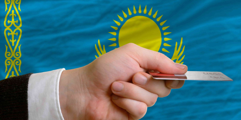 Депутаттар елімізде онлайн несиелеуге тыйым салуды ұсынды